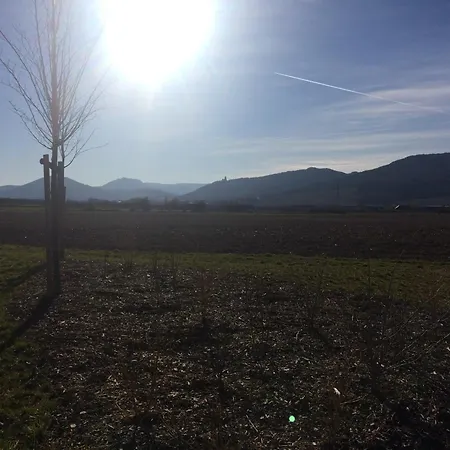 Alojamento de Acomodação e Pequeno-almoço D'hôtes Arnold Dambach