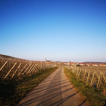 D'hôtes Arnold Dambach