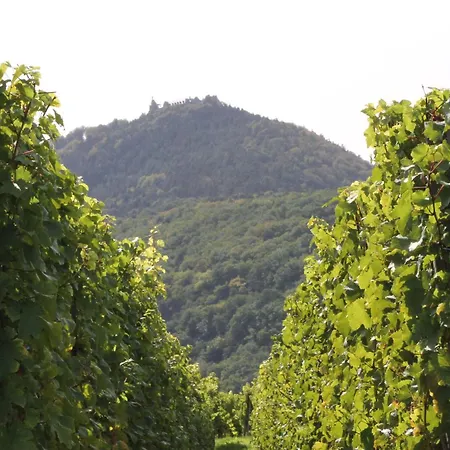 D'hôtes Arnold Dambach