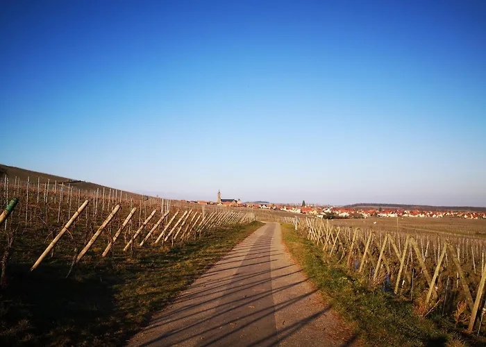 D'hôtes Arnold Dambach