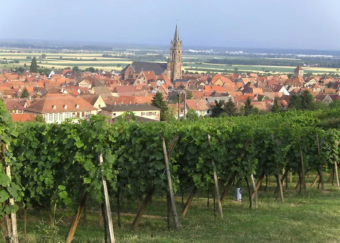 D'hôtes Arnold