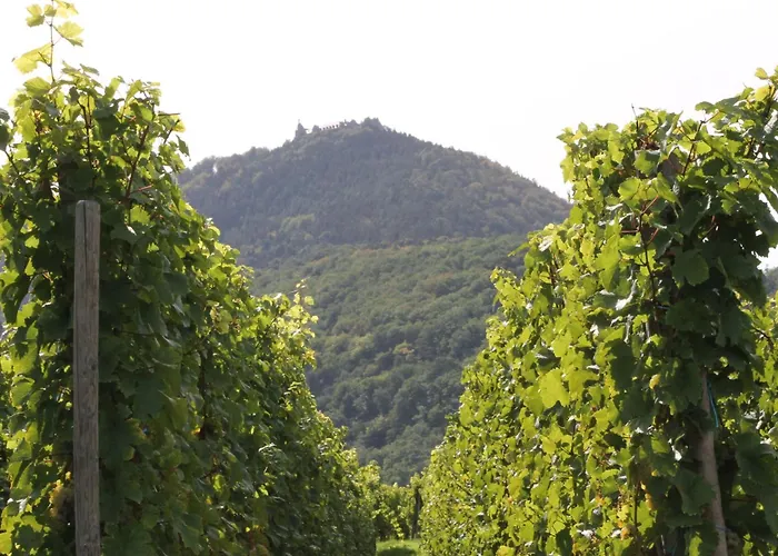 D'hôtes Arnold Dambach